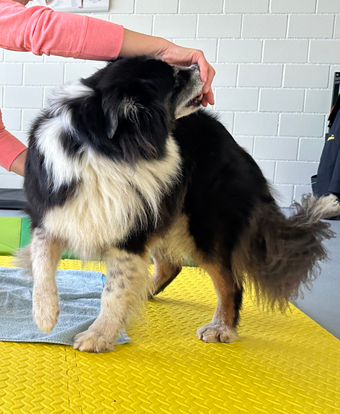 Kontrolliertes drehen